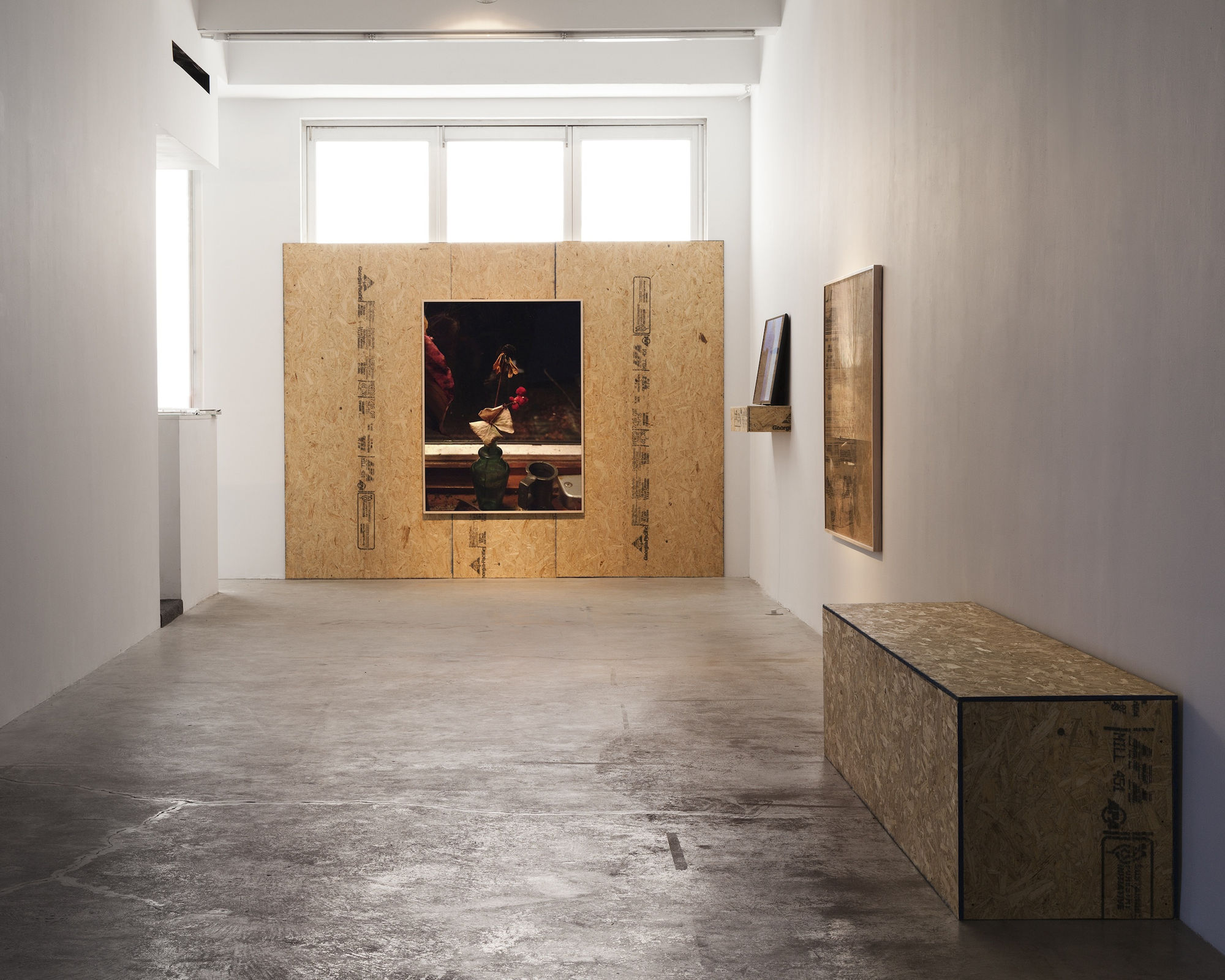 Everybody Knows (Or Should), Gallery Installation, 2015