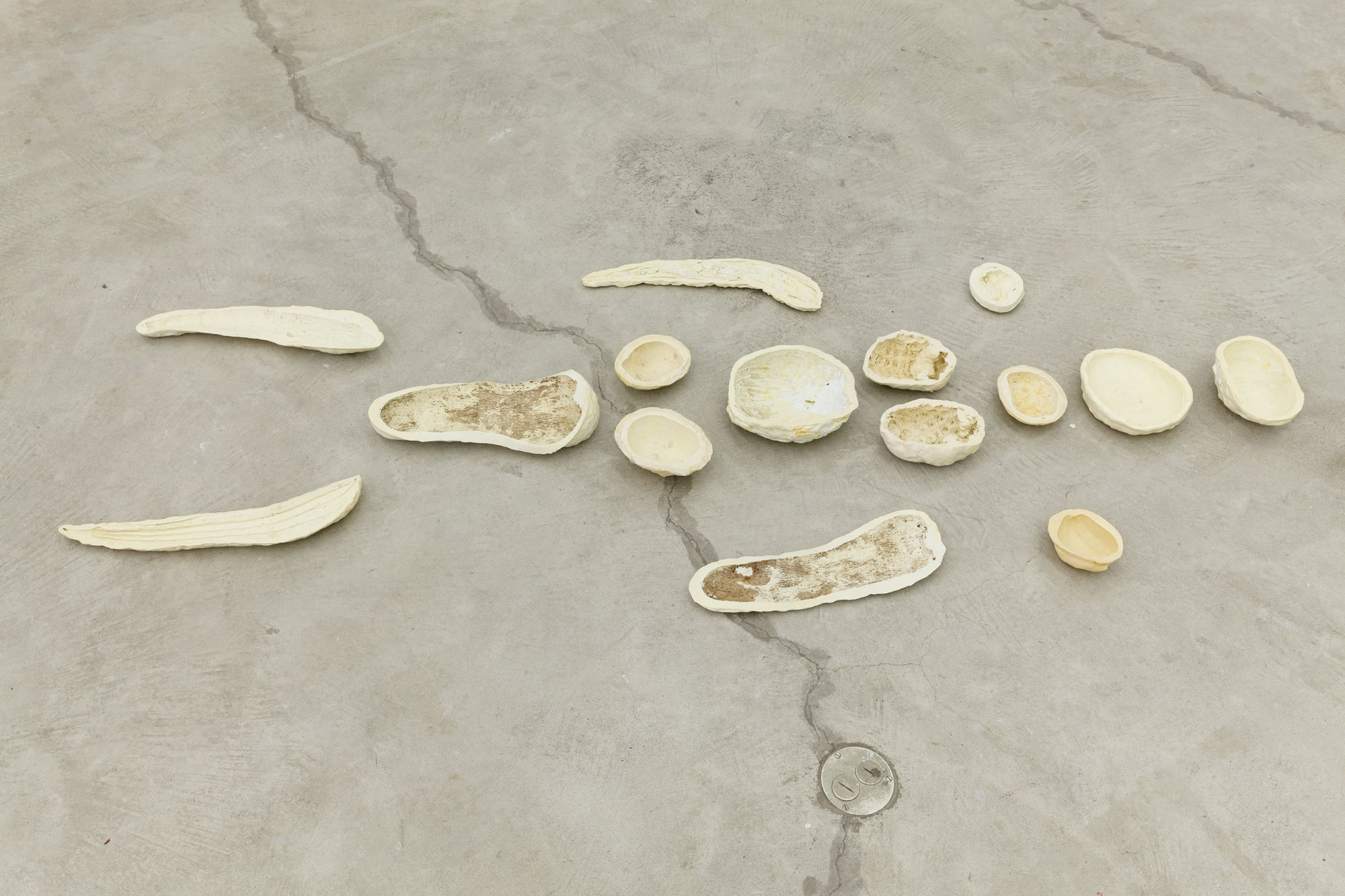 Lupo Borgonovo Frutttolo, 2014 silicon rubber Dimensions variable