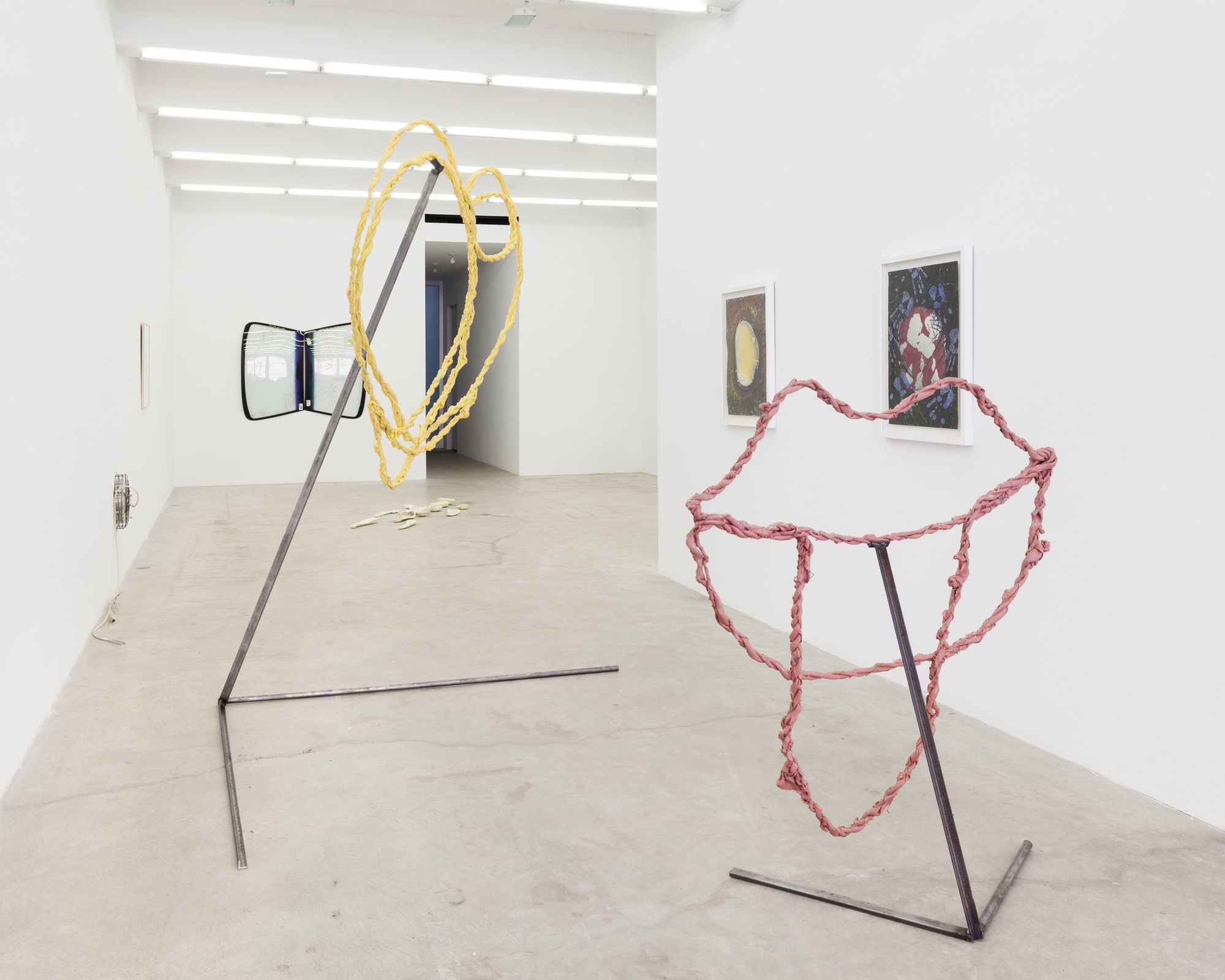 Slippery, Installation View, 2014