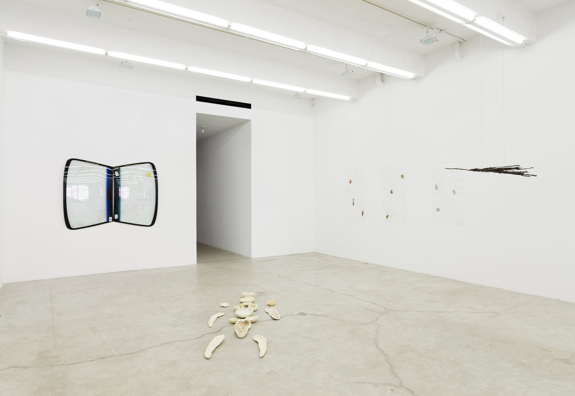 Slippery, Installation View, 2014