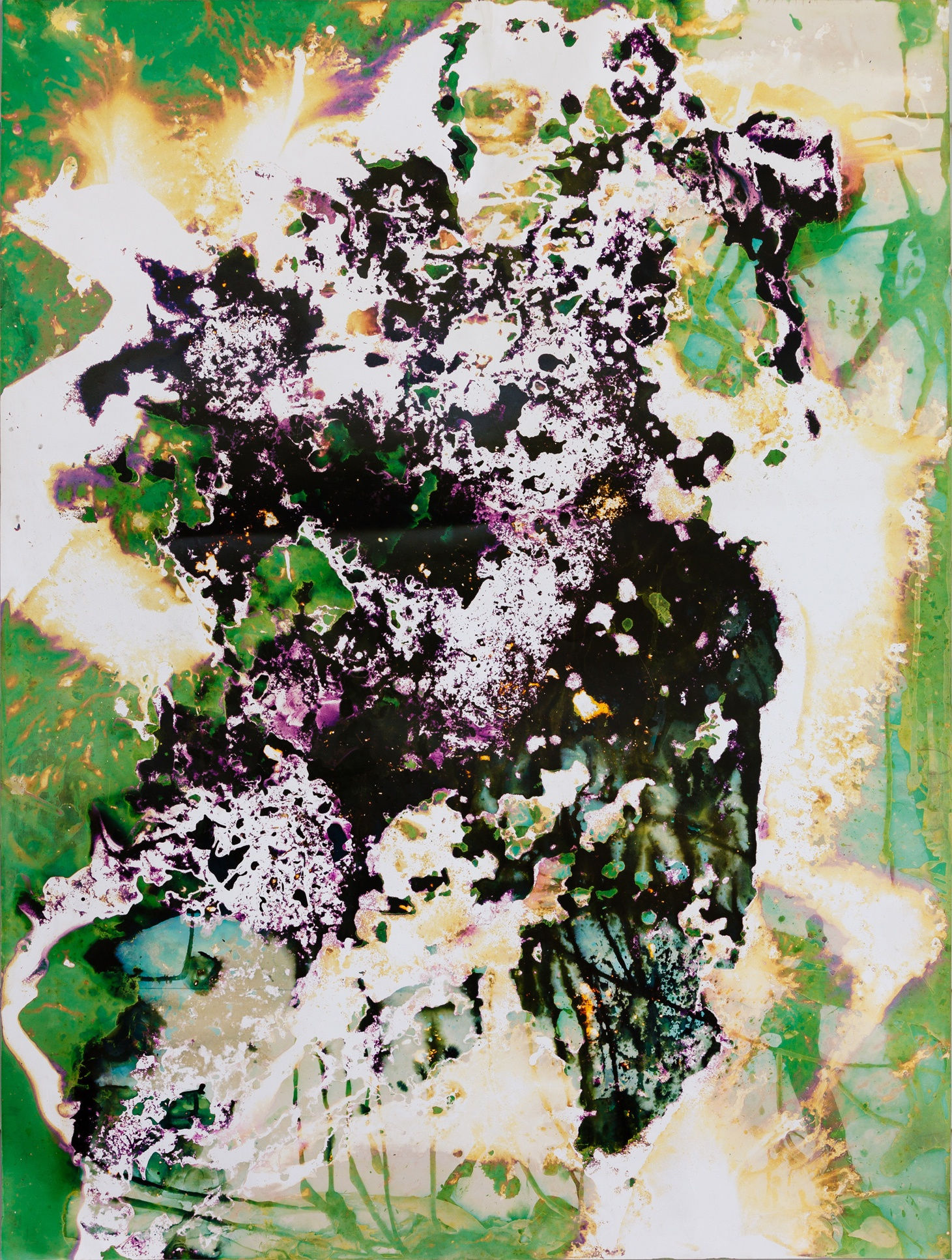 Ryan Foerster After the garden is done/sky is falling, 2013 unique C-print 40 x 30 inches