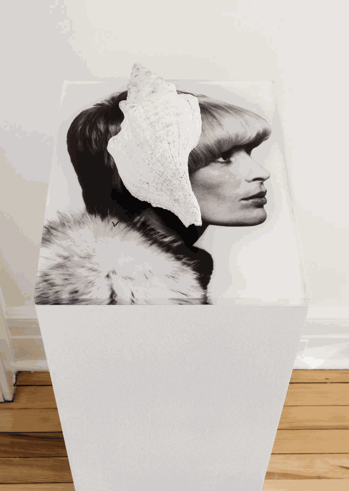 Marlo Pascual Untitled, 2013 digital C-print, conch shell, pedestal 40 1/2 x 16 x 12 inches