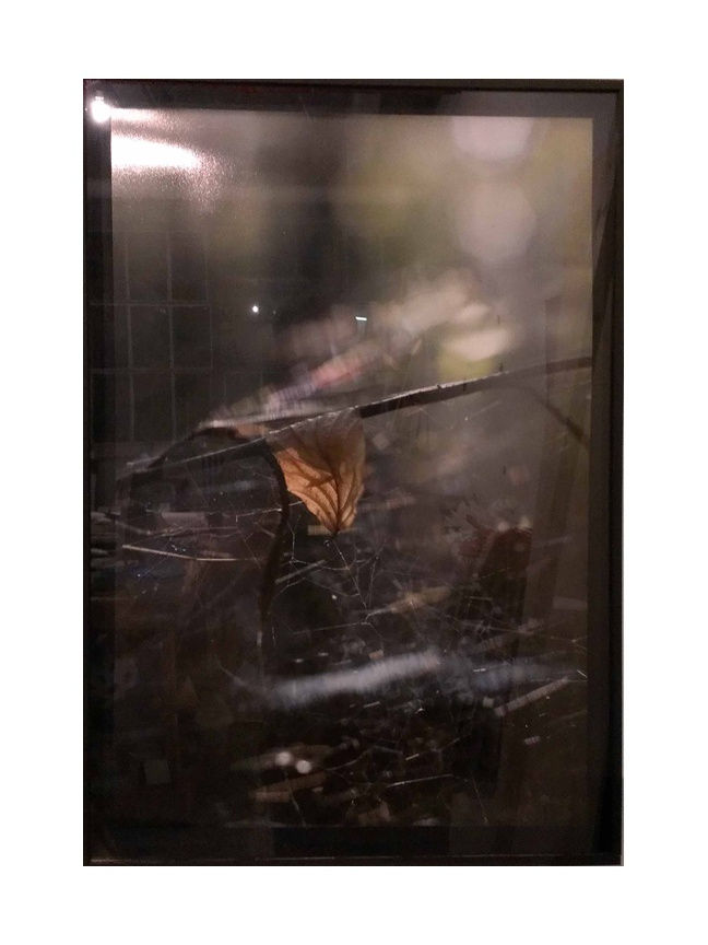 Josh Tonsfeldt Refracted Web, 2012 C-print in artist’s frame 25.7 x 17 3/4 inches
