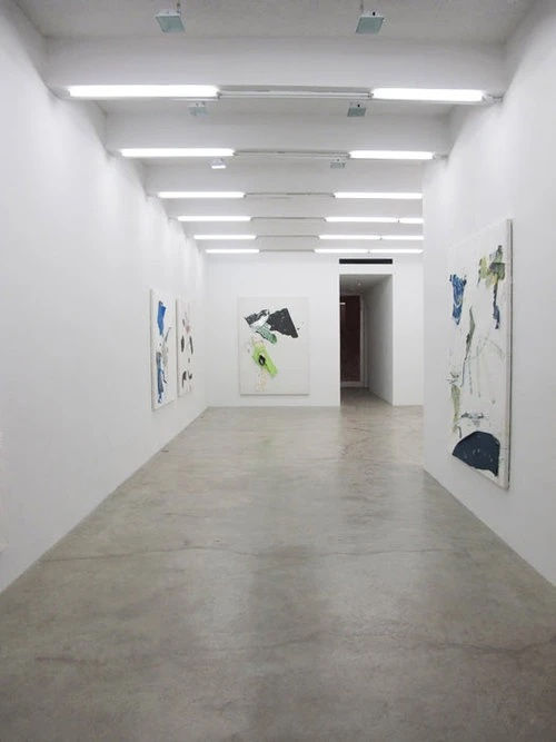 Chameleon Jeans, Installation View, 2011