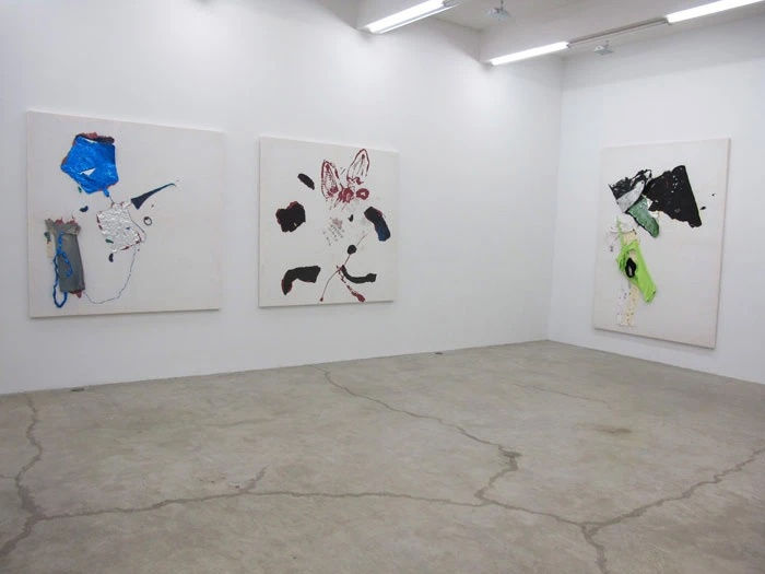 Chameleon Jeans, Installation View, 2011