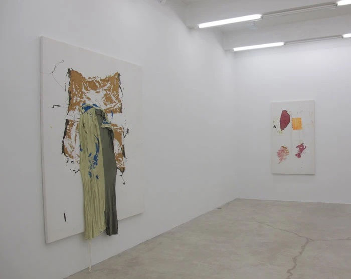 Chameleon Jeans, Installation View, 2011