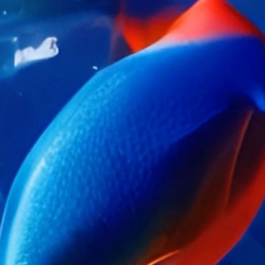 Medina Kasimova and .ART Registry