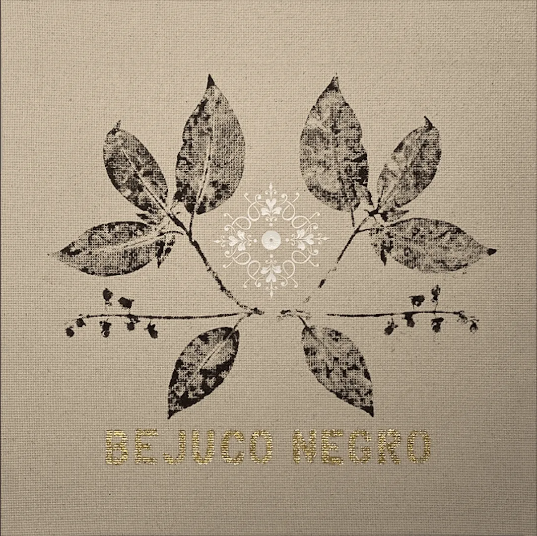 María Virginia Pineda, Su Majestad Vegetal: Bejuco Negro (2021), Grafito líquido, vinil texil y hojilla de oro sobre tela, 40 × 40 cm