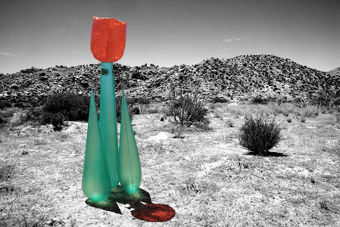 Desert Projekt exhibition in Los Angeles by Julia Curylo and Craig Deman