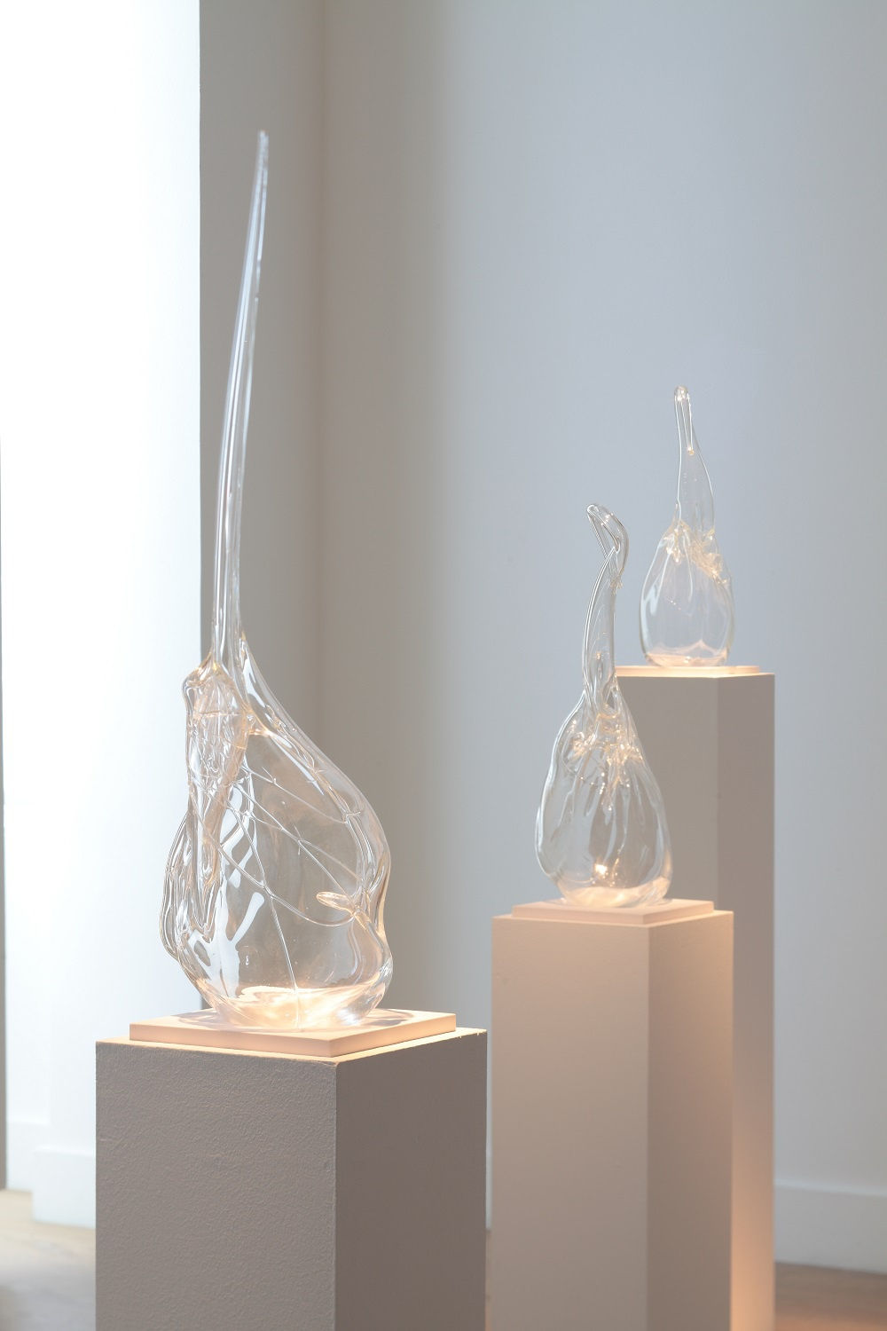 Le Jardin de la Spéculation Cosmique