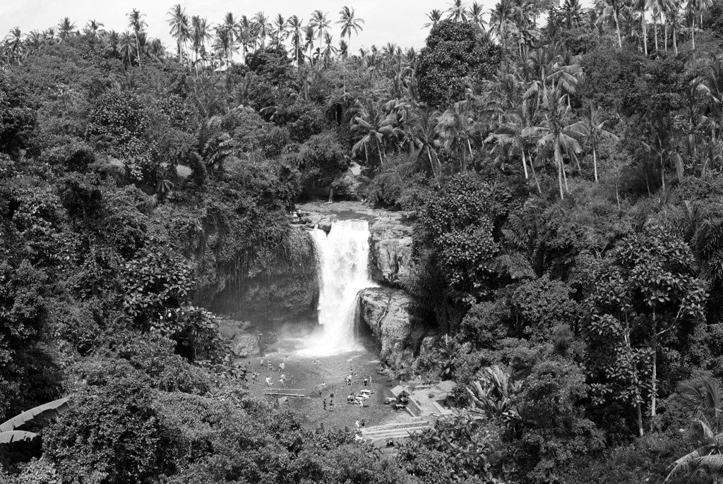 Group Show “ Botanical” of “Lotus” at Local Project Art Space in LIC, NY