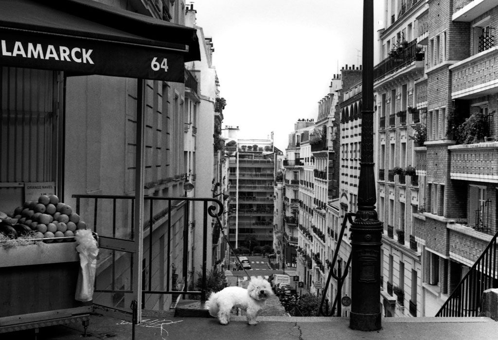 Solo show of “The Parisienne” at The School of Visual Arts, NY.