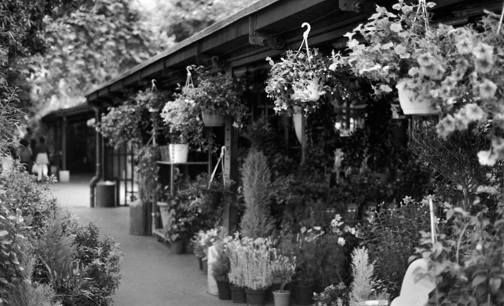 Solo show of “The Parisienne” at The School of Visual Arts, NY.