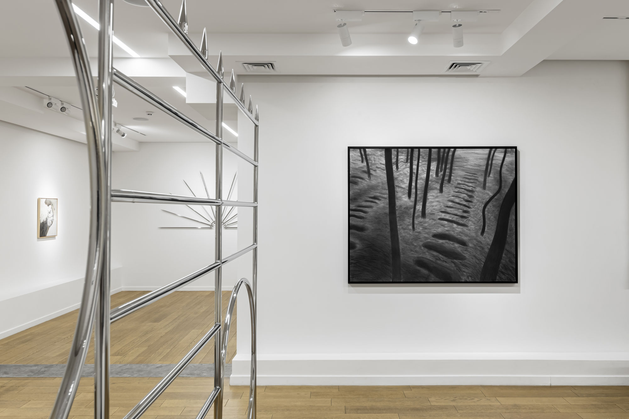 The Ray Penetrates the Soil