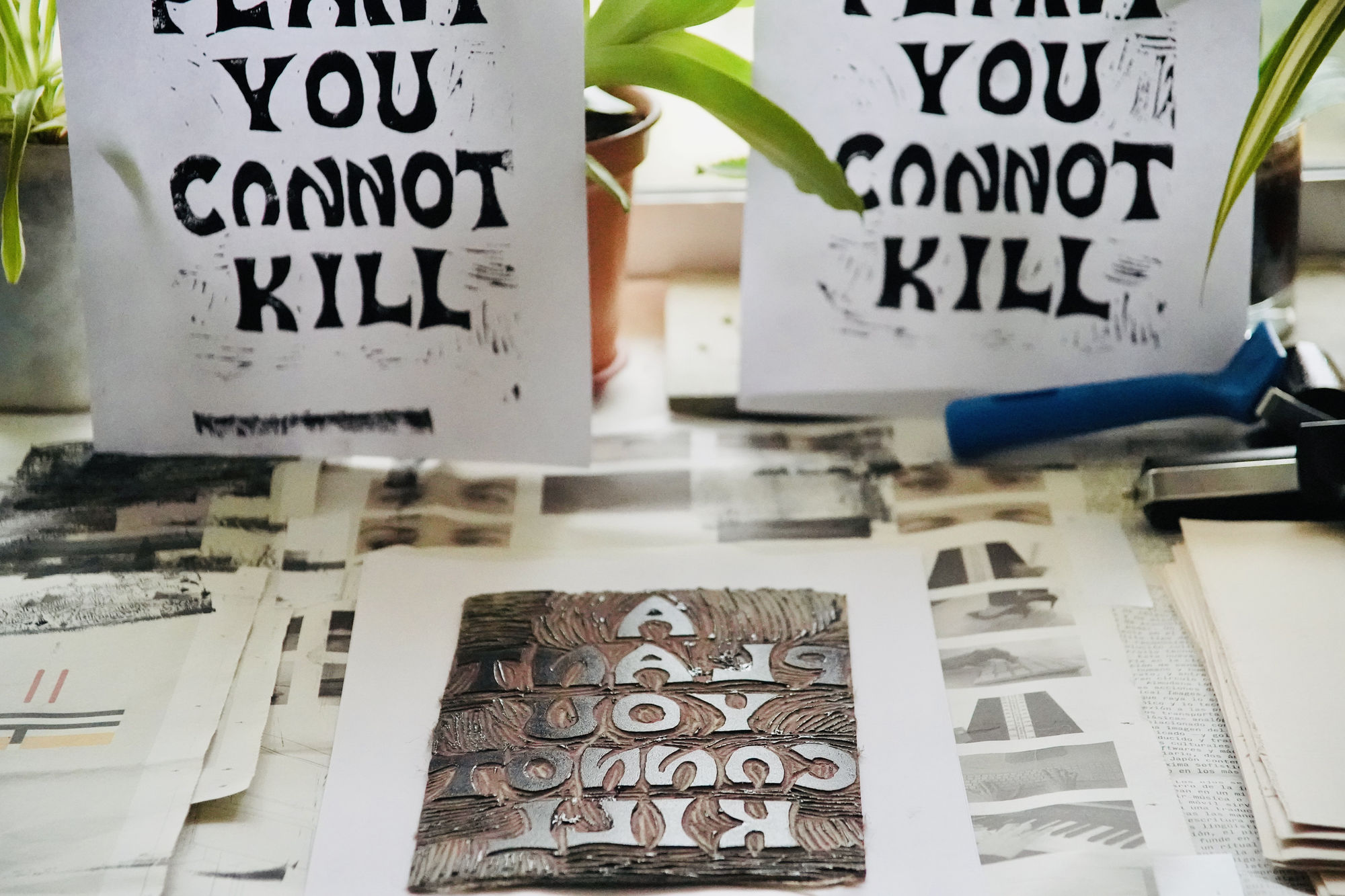 A Plant You Cannot Kill