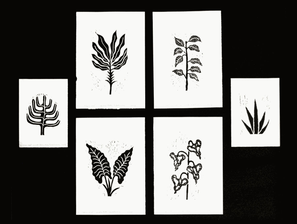 Yadichinma Ukoha-Kalu, Osisi (Plant), 2023