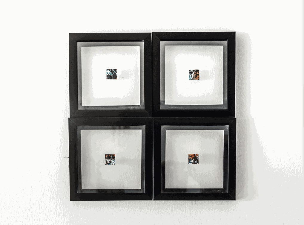 Nola Ayoola, Windows I - IV, 2024