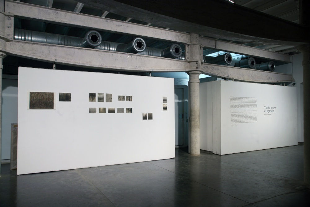 The Hangover of Agarlum