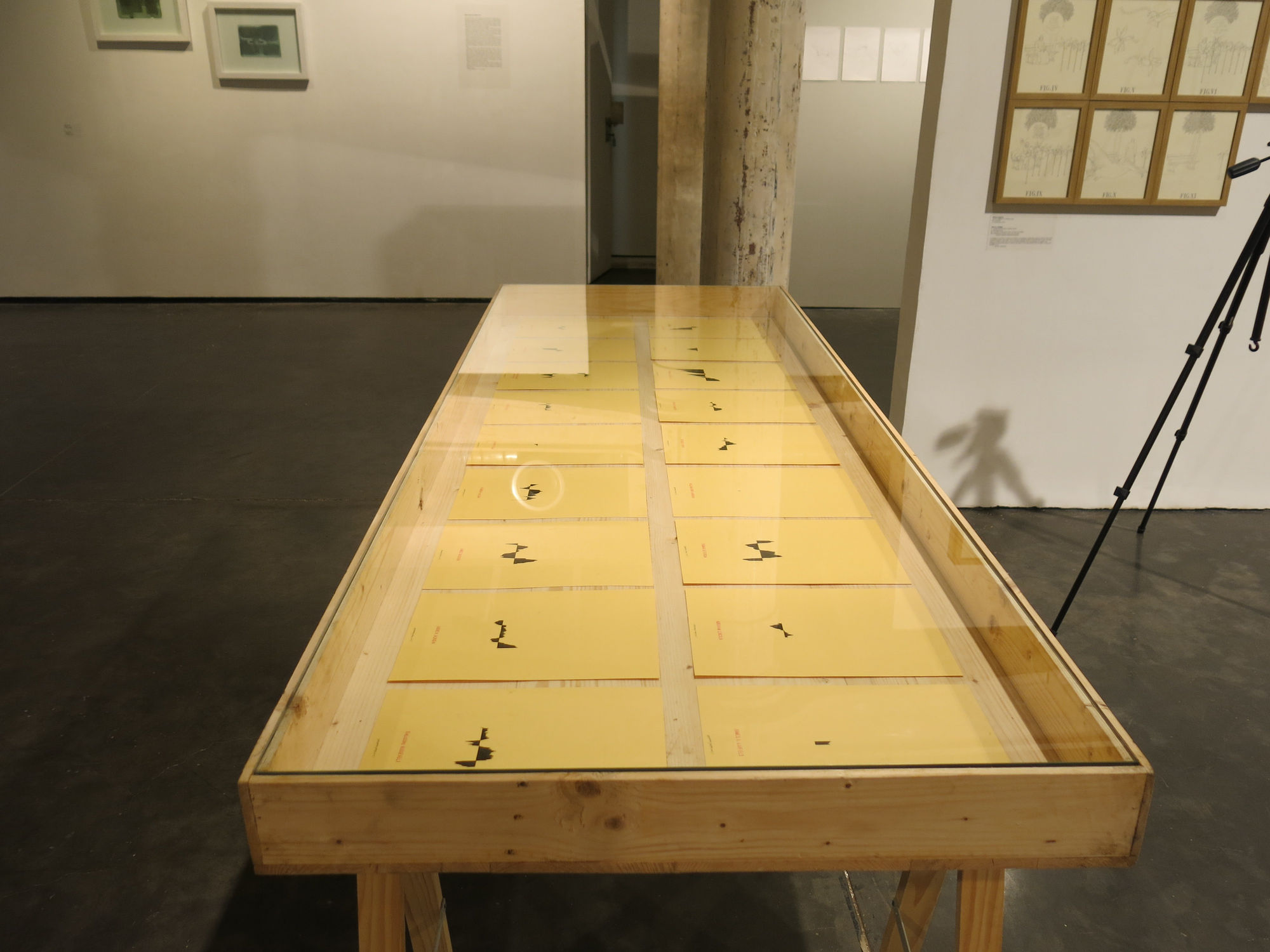 Stalkings and other stories