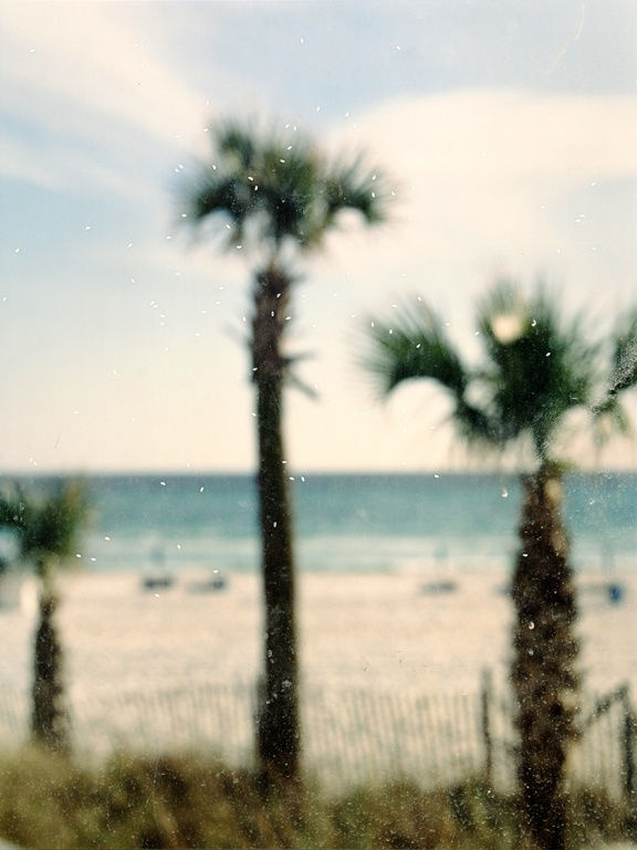 두경의 부정 2부 명료함에 反하다