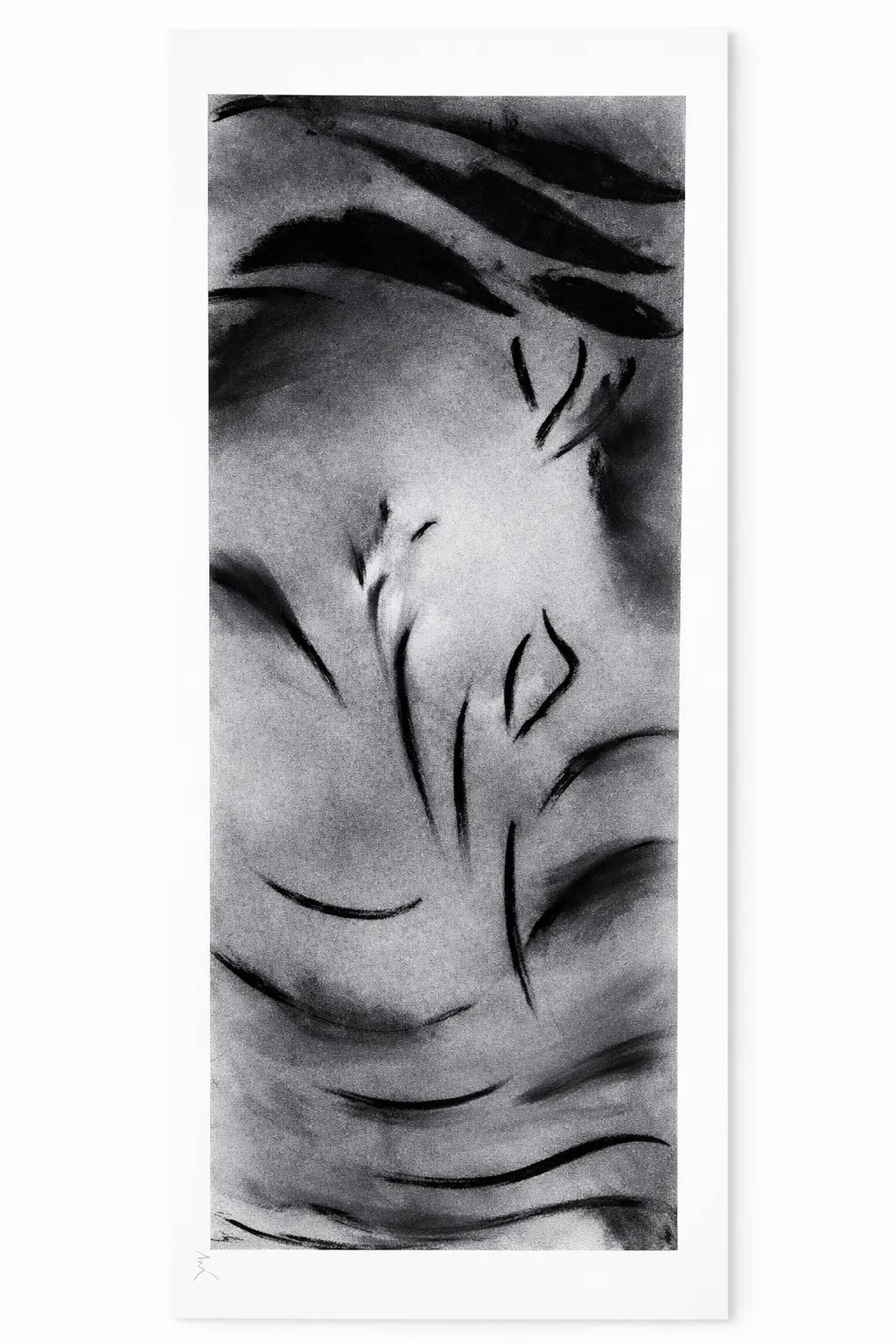 LA COULEURS DES JOURS MEILLEURS