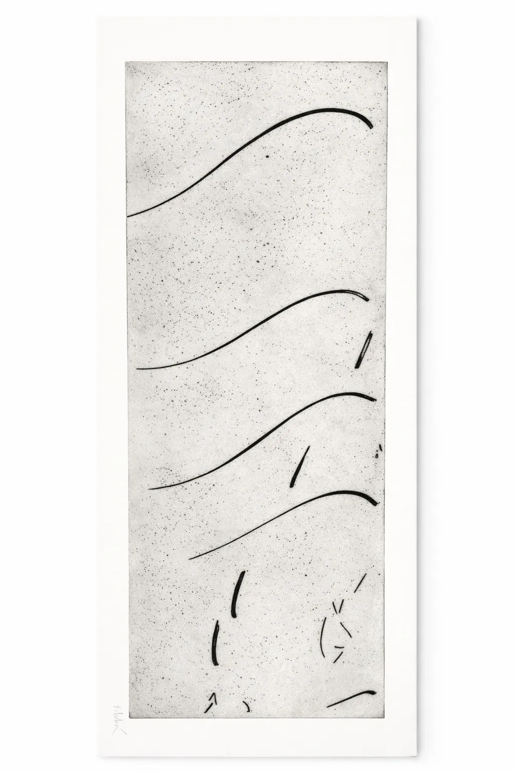 LA COULEURS DES JOURS MEILLEURS