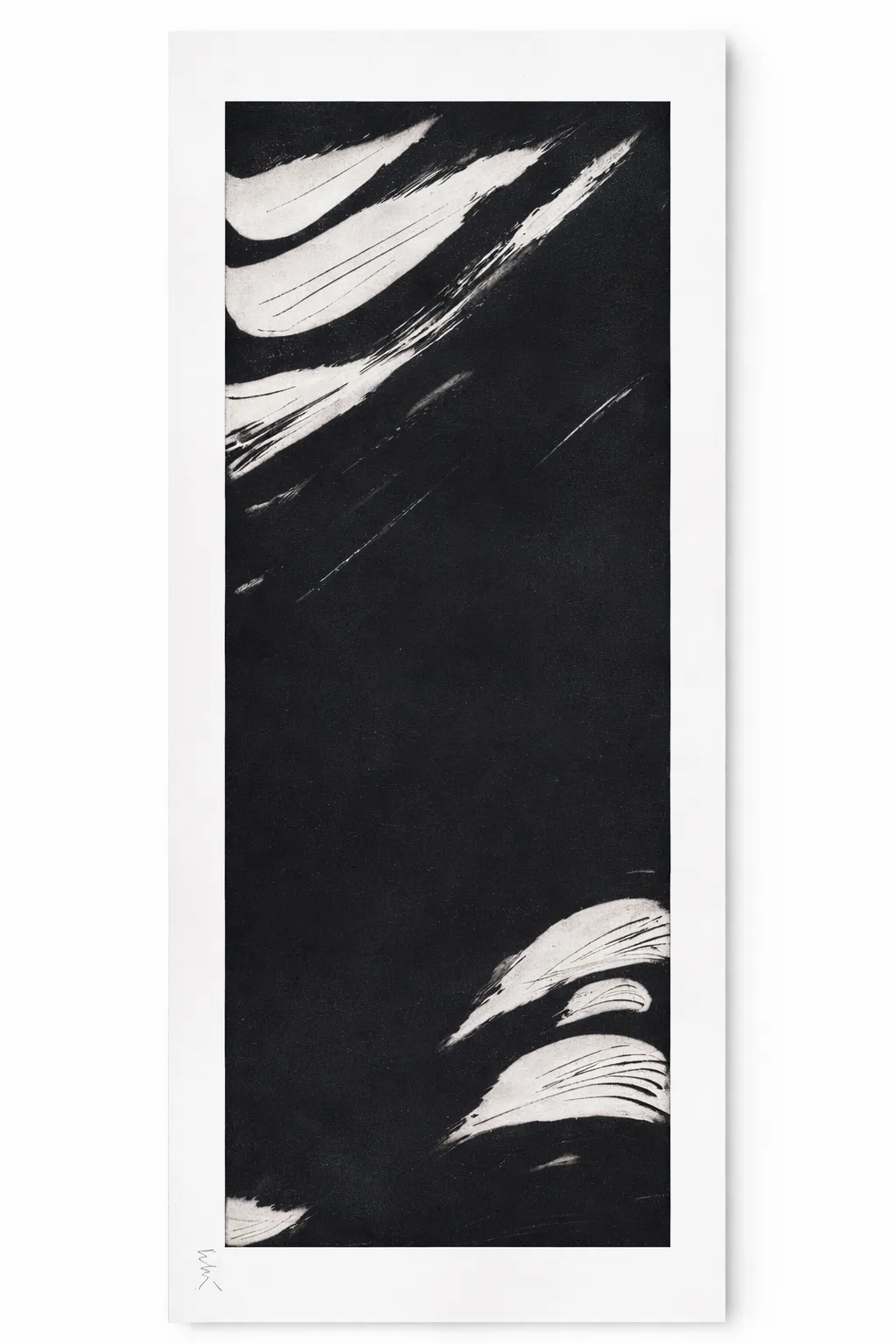 LA COULEURS DES JOURS MEILLEURS