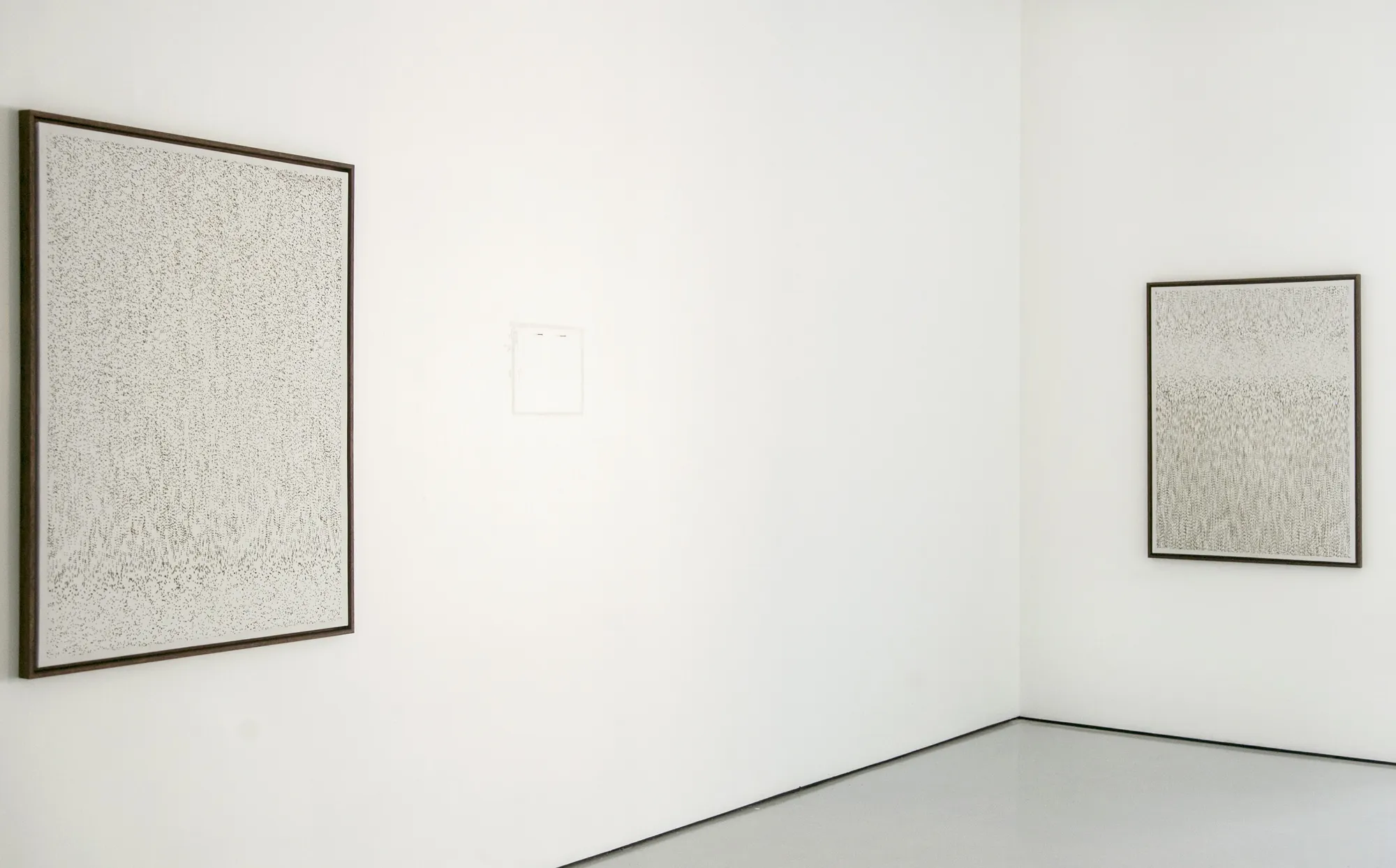 Under one lamp by day, billions by night