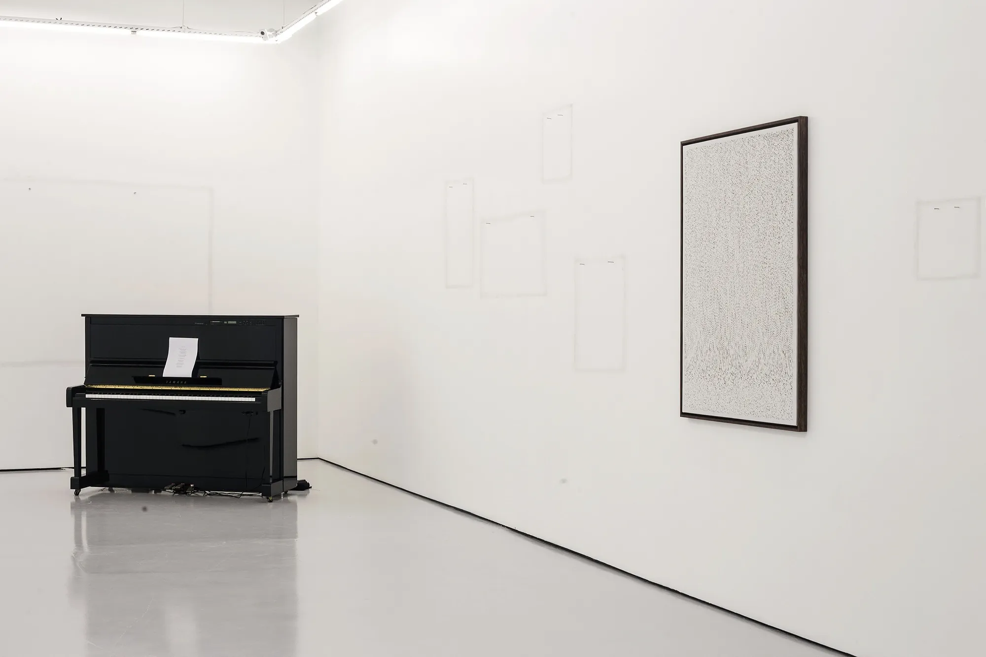 Under one lamp by day, billions by night