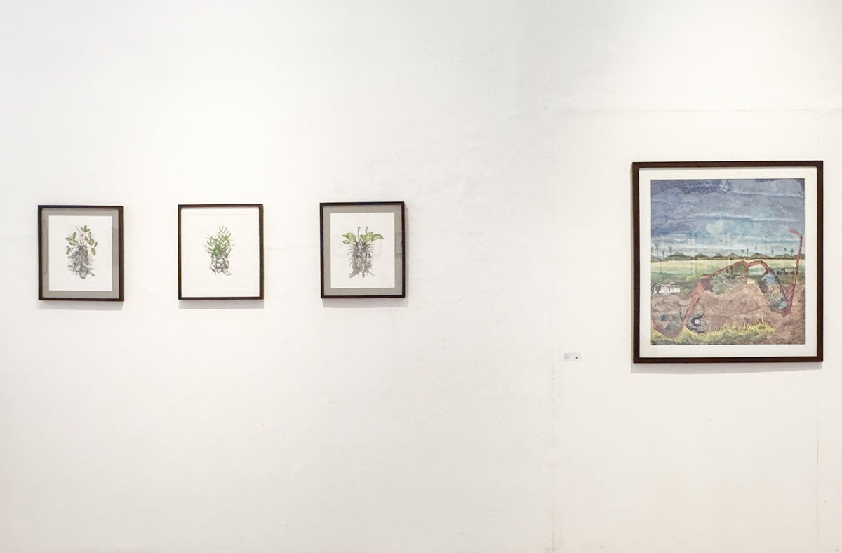 Many roads through paradise