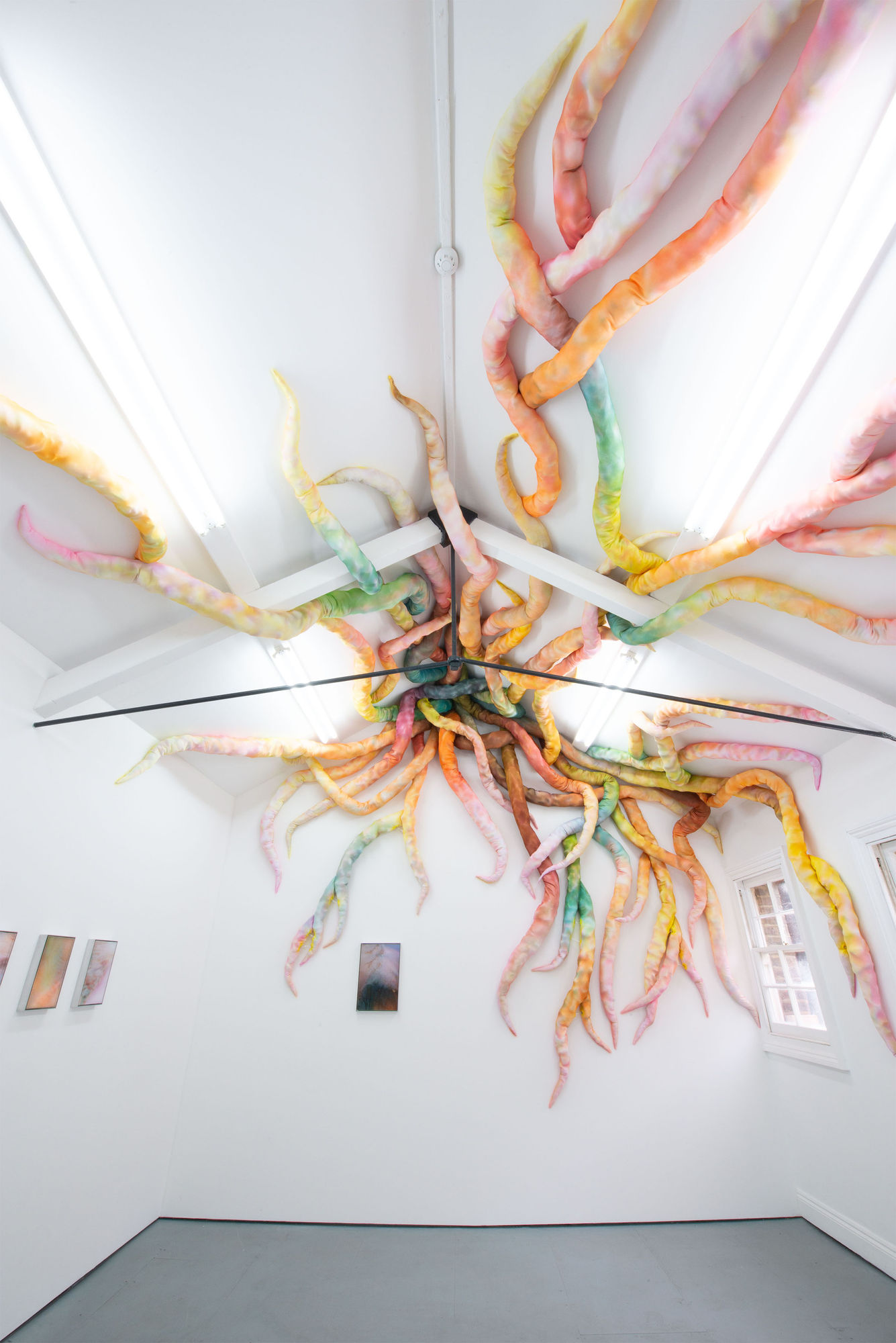 Damaris Athene | Undercurrents