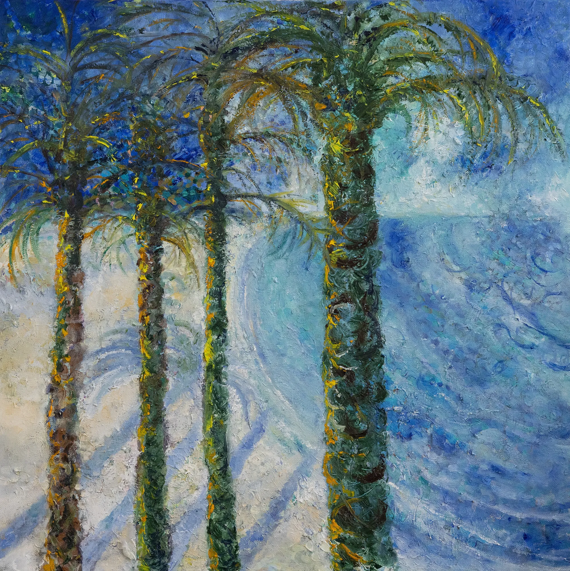 image of beach with tall palm trees and white sandy cove with blue sea