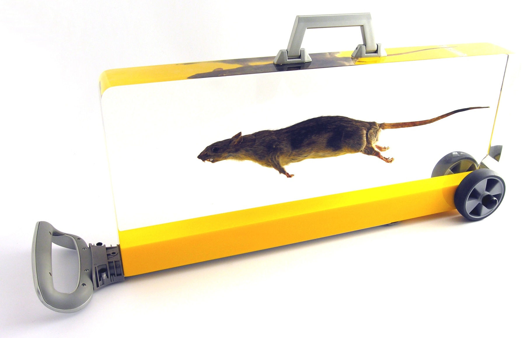 Ratasmile Suitcase 1/3, 2006