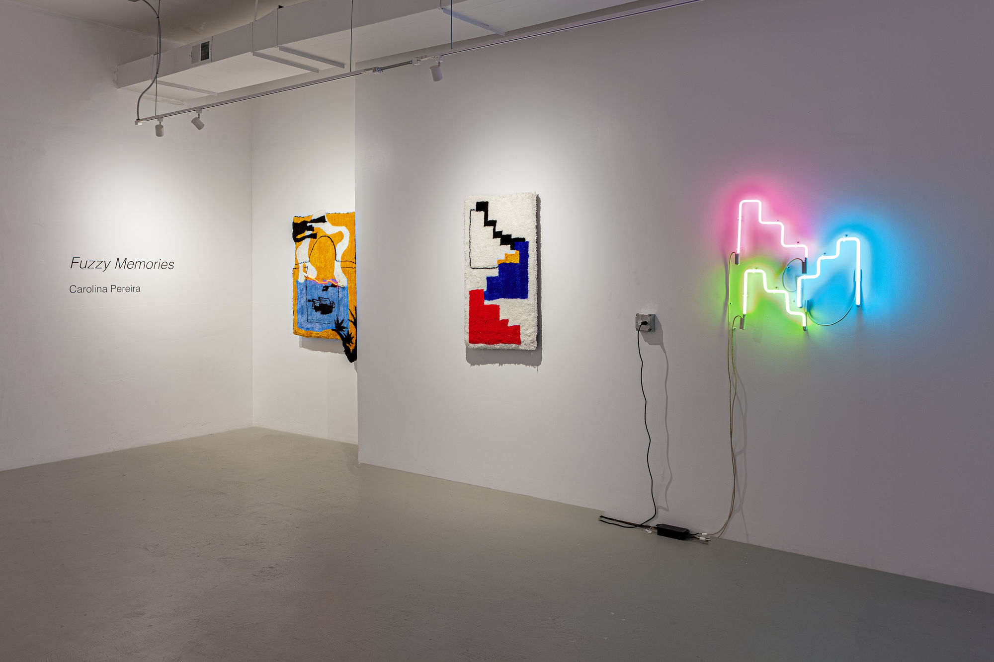 The Space Show / Fuzzy Memories