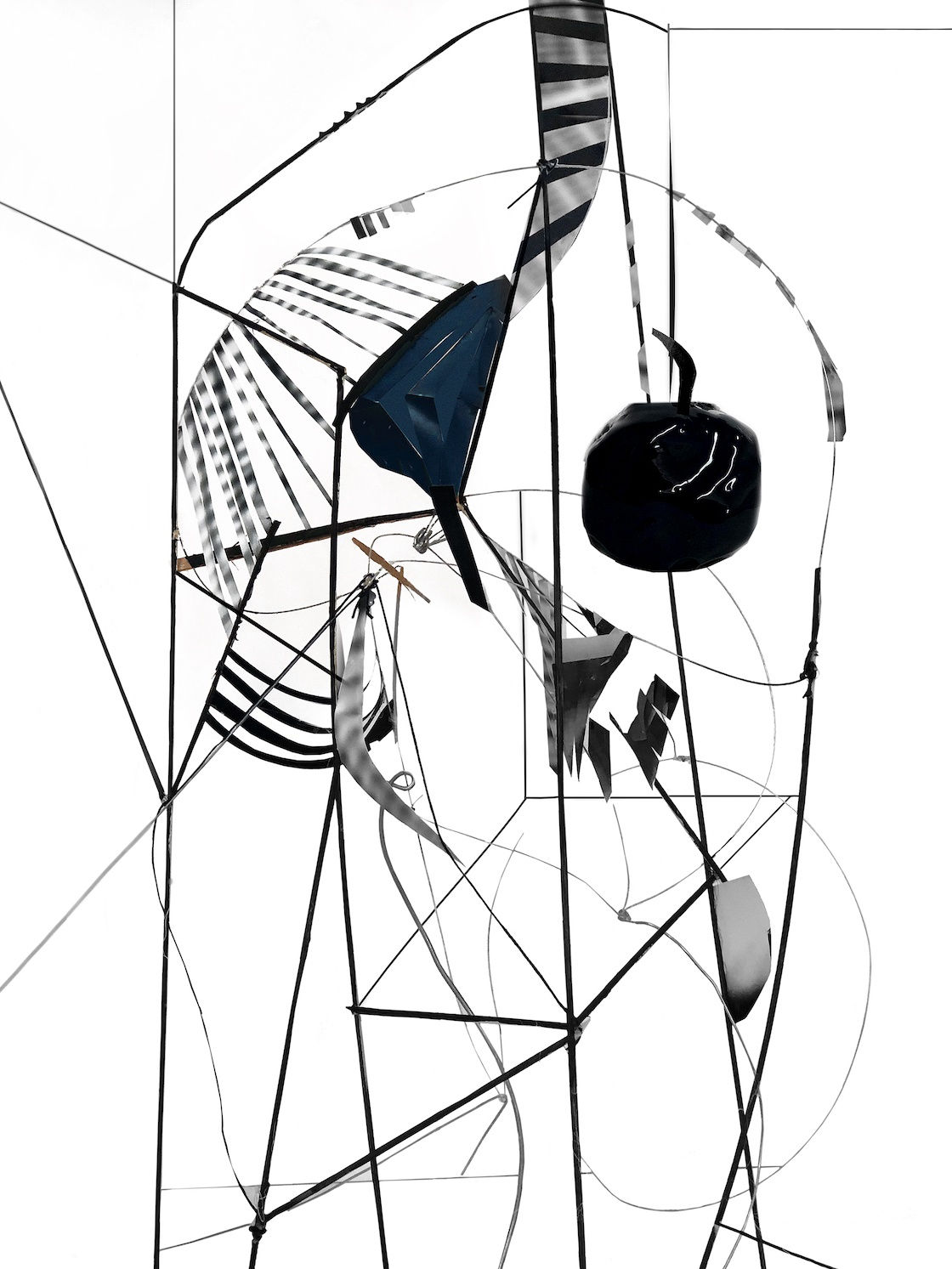 Yamini Nayar, Wing-Bone, 2018, Hahnemühle Bartya Pigment Print, 40 x 30 inches (101.6 x 76.2 cm), Edition of 5 + 2AP