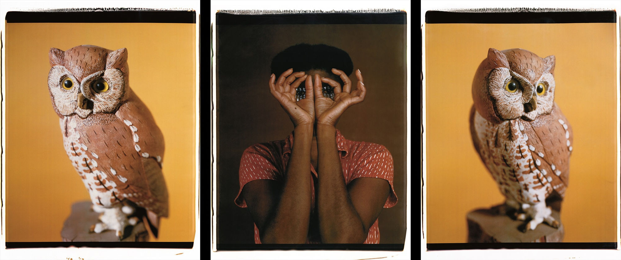 María Magdalena Campos-Pons, Nesting II, 2000, Polaroid Polacolor Pro, 24 x 20 photograph, 24 x 72 inches (61 x 152.4 cm)