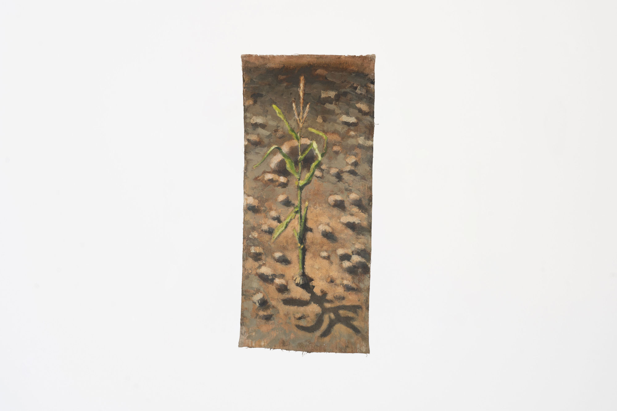 Group Exhibition - Water