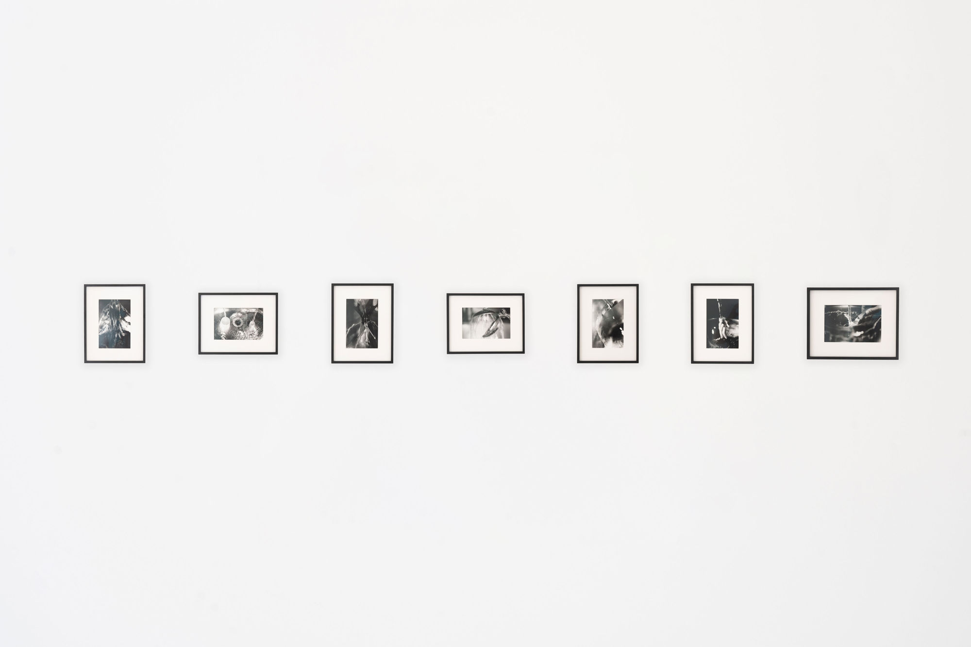 Group Exhibition - Water