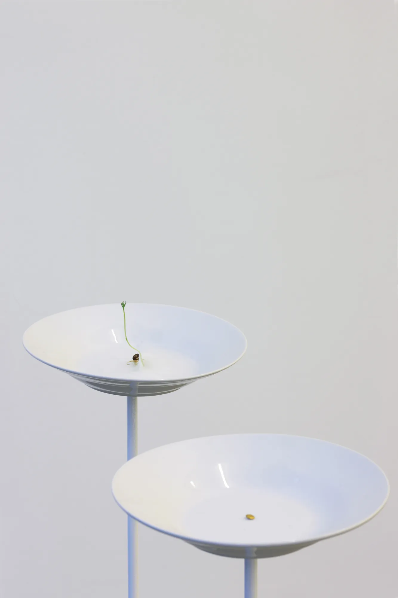 Stéphanie Saadé - The Second Space