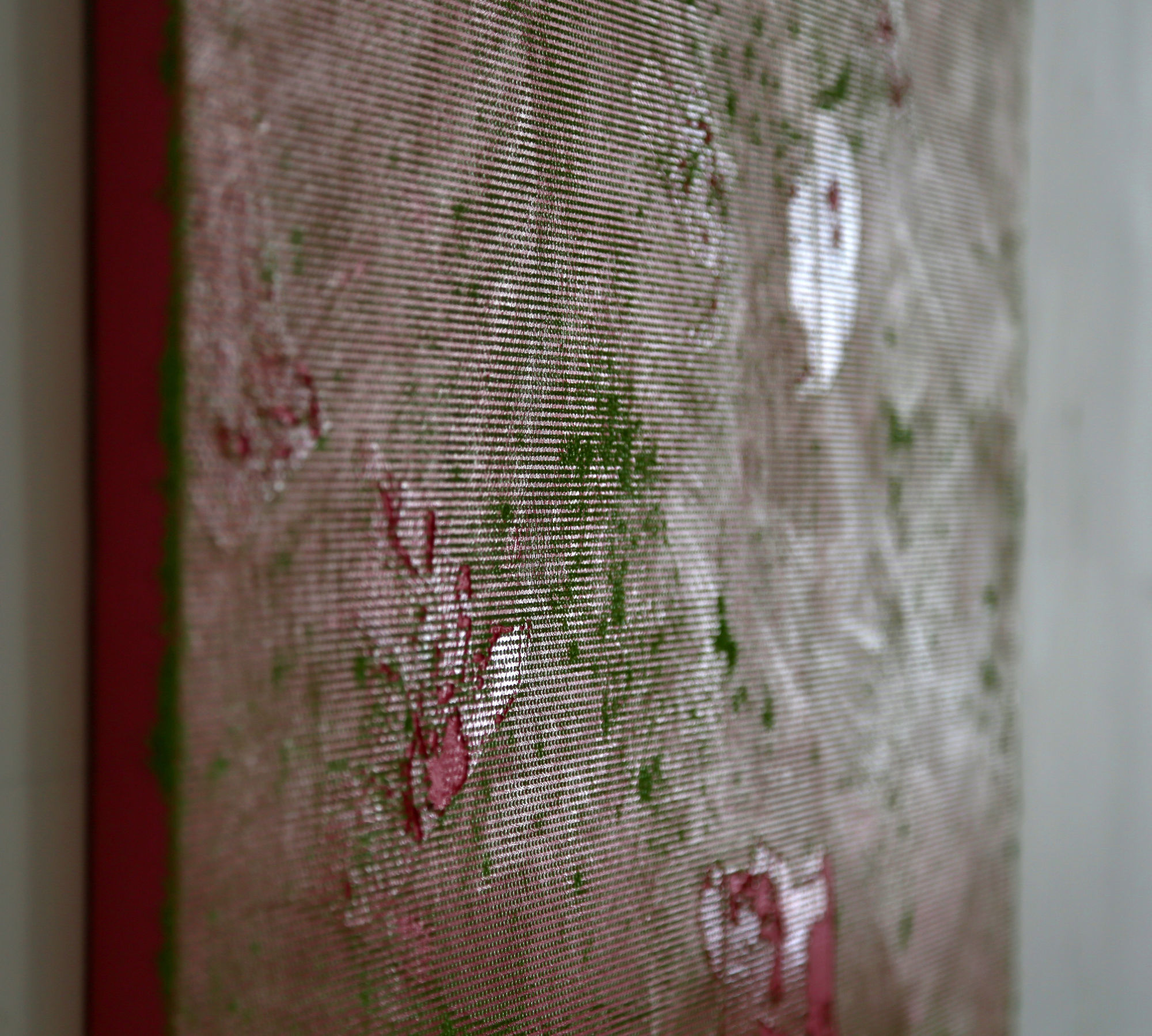 Daisy, Daisy - detail in raking light