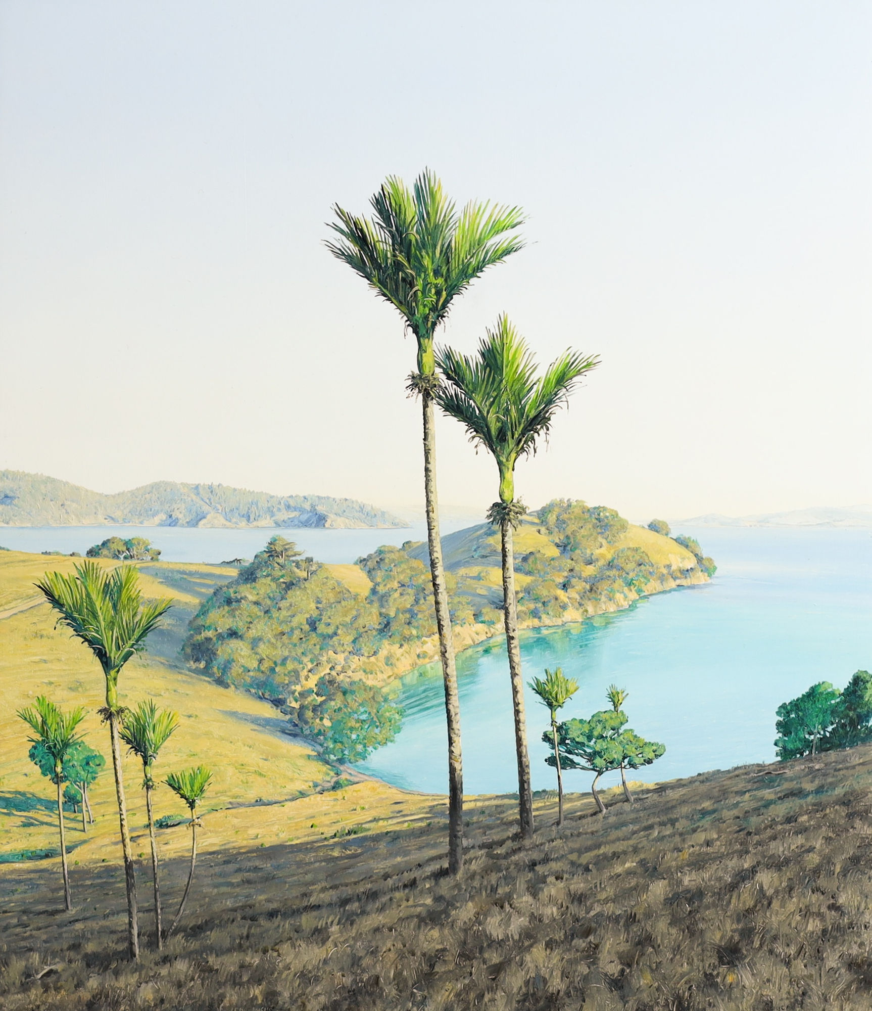 Justin Boroughs, Nikaus, Aawaroa Bay, Waiheke, 2023