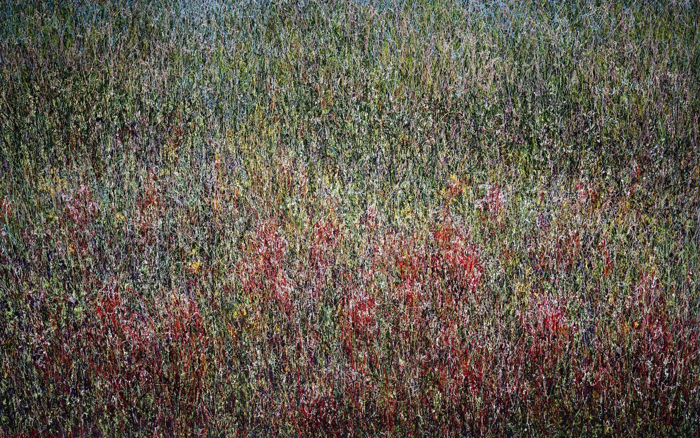 Line-piece 2322 2023, Oil on panel, 145.5x89.4cm