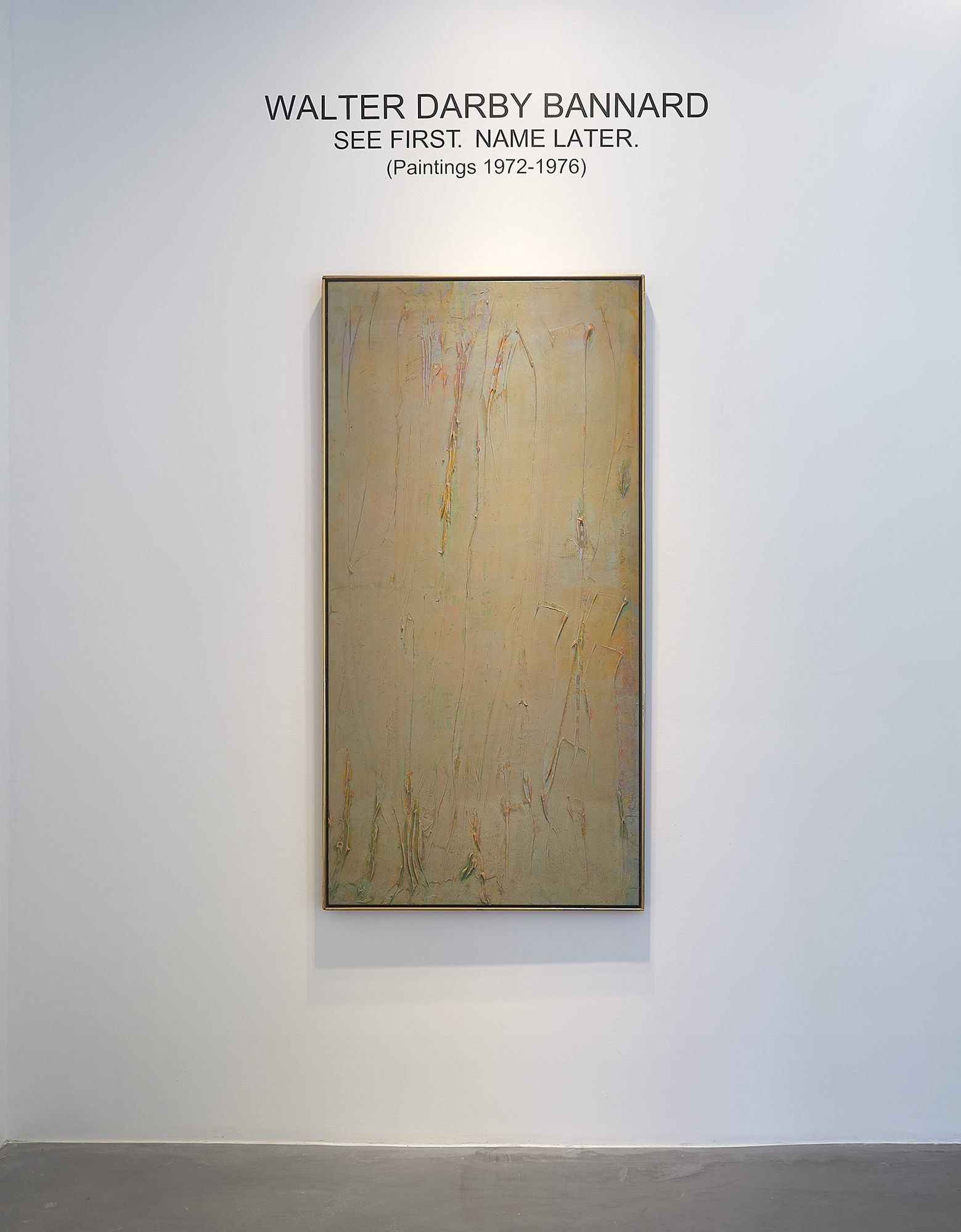 Walter Darby Bannard: See First. Name Later.