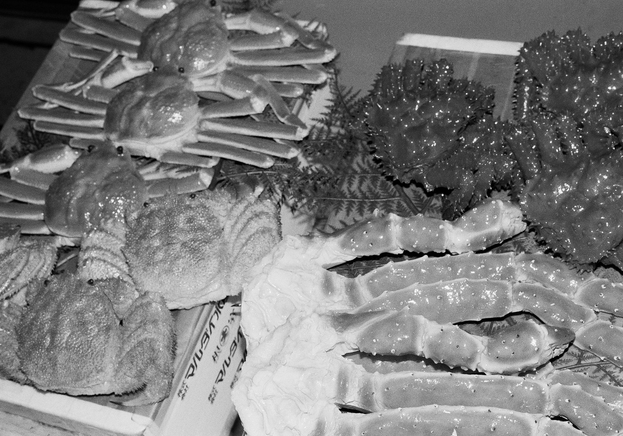 Untitled, Sapporo, Hokkaido, Japan, 2023 Selenium Toned Silver Gelatin Print, 20x16" Edition of Three