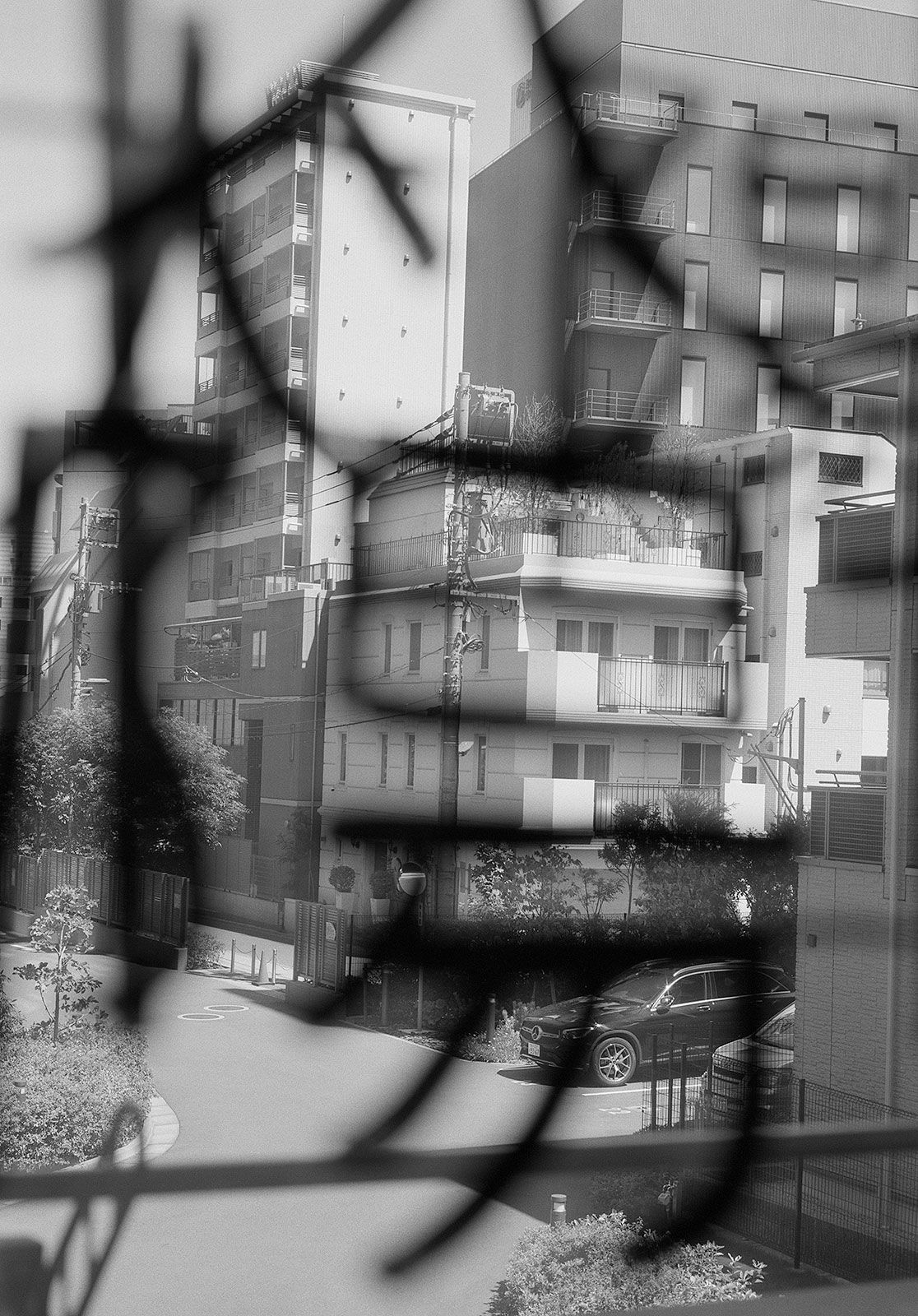 "Sun", Akasaka, Tokyo, Japan, 2023 Selenium Toned Silver Gelatin Print, 20x16" Edition of Three