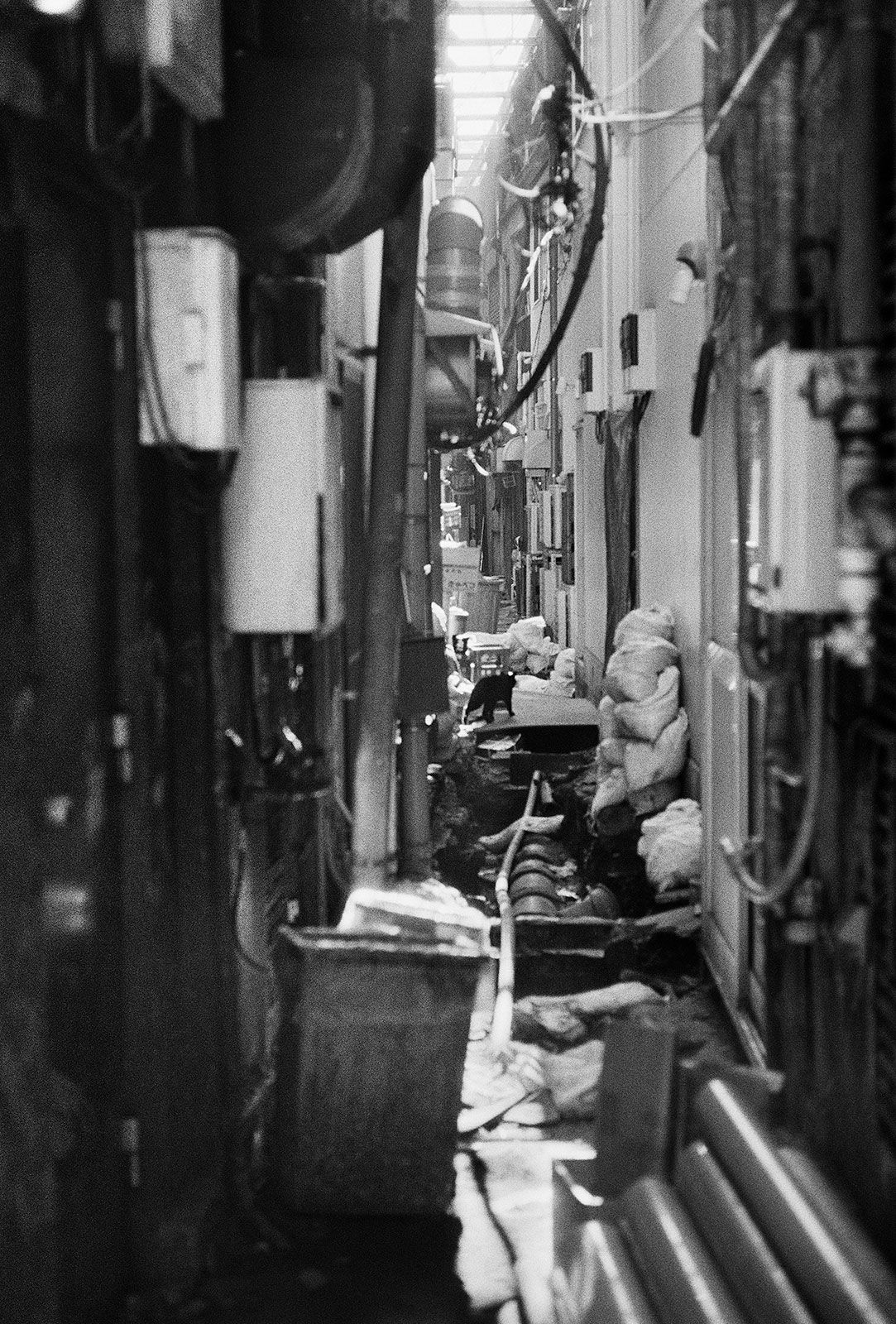 Untitled, Ameyoko, Tokyo, Japan, 2018 Selenium Toned Silver Gelatin Print, 20x16" Edition of Three