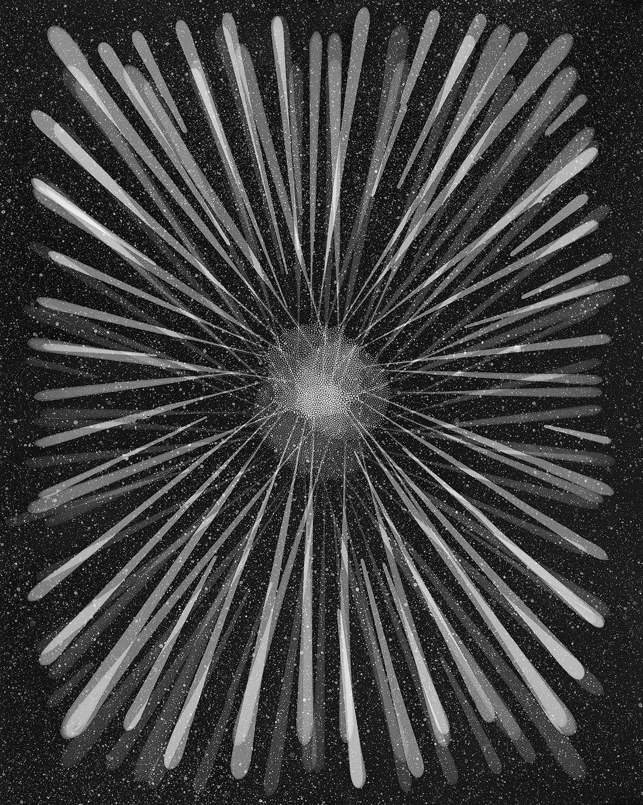 Taiyō, Ferrofluid Photogram on 8x10" Sheet of Film, 20
