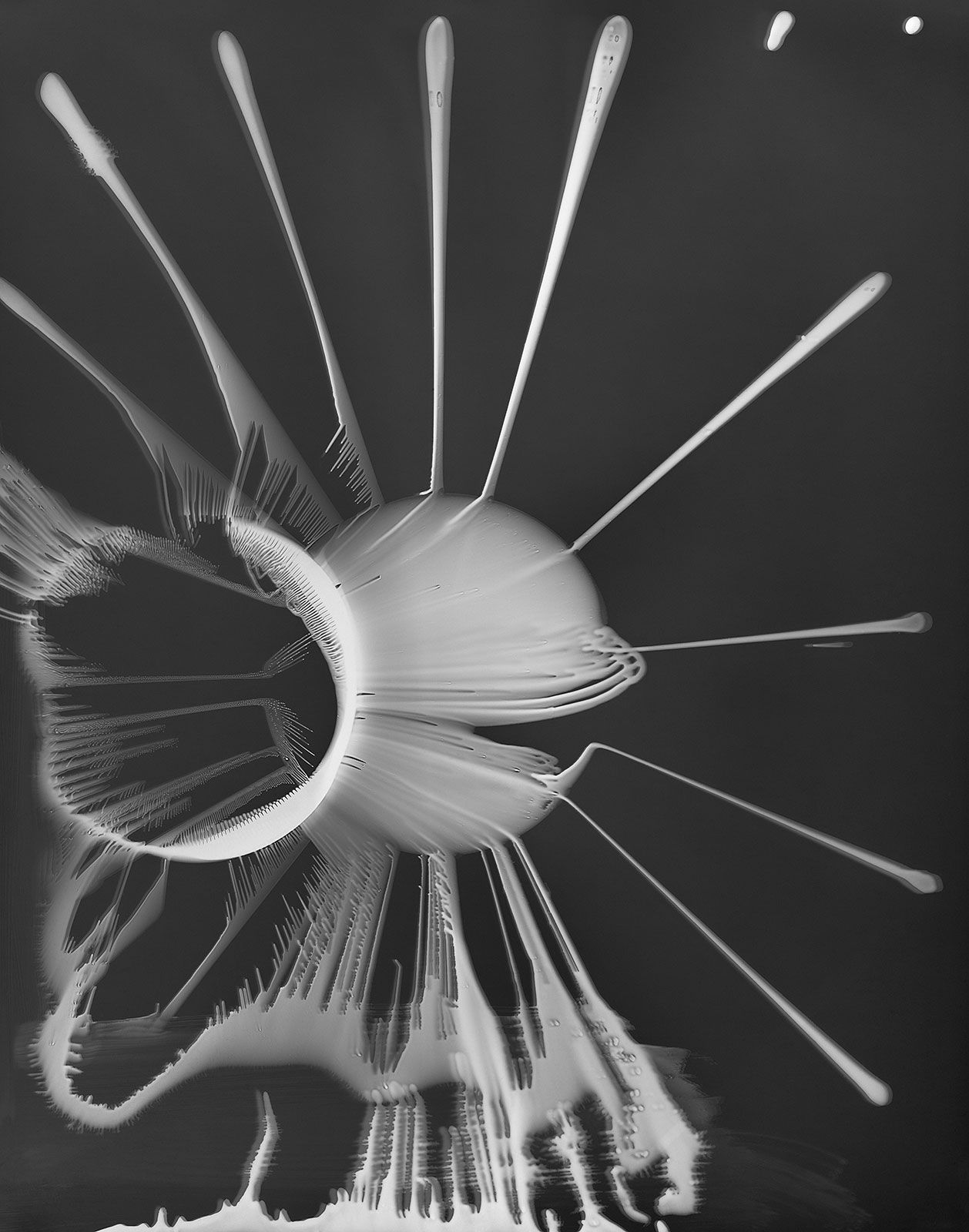 Taiyō, Ferrofluid Photogram on 8x10" Sheet of Film, Photogravure on Hahnem&uuml;hle Copperplate Paper Size 27x22", Plate Size 20x15.5" Edition of 10 Printed by Lothar Osterburg in 2024