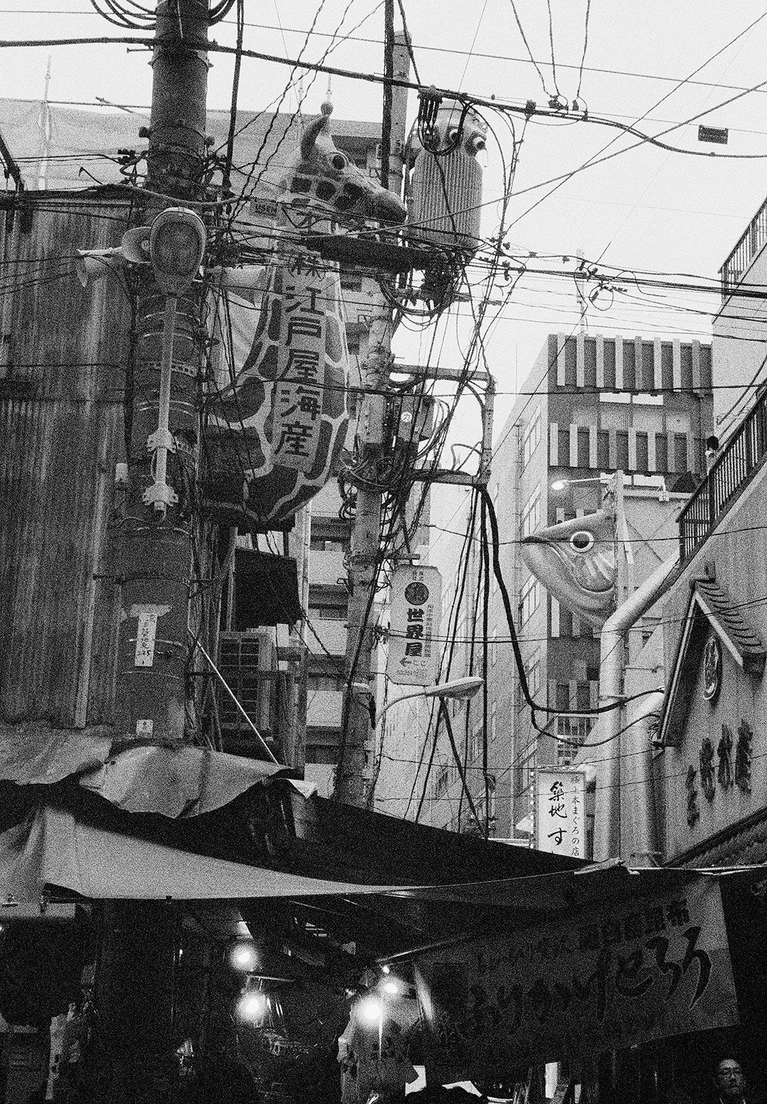 Untitled, Tsukiji, Tokyo, Japan, 2018 Selenium Toned Silver Gelatin Print, 20x16" Edition of Three