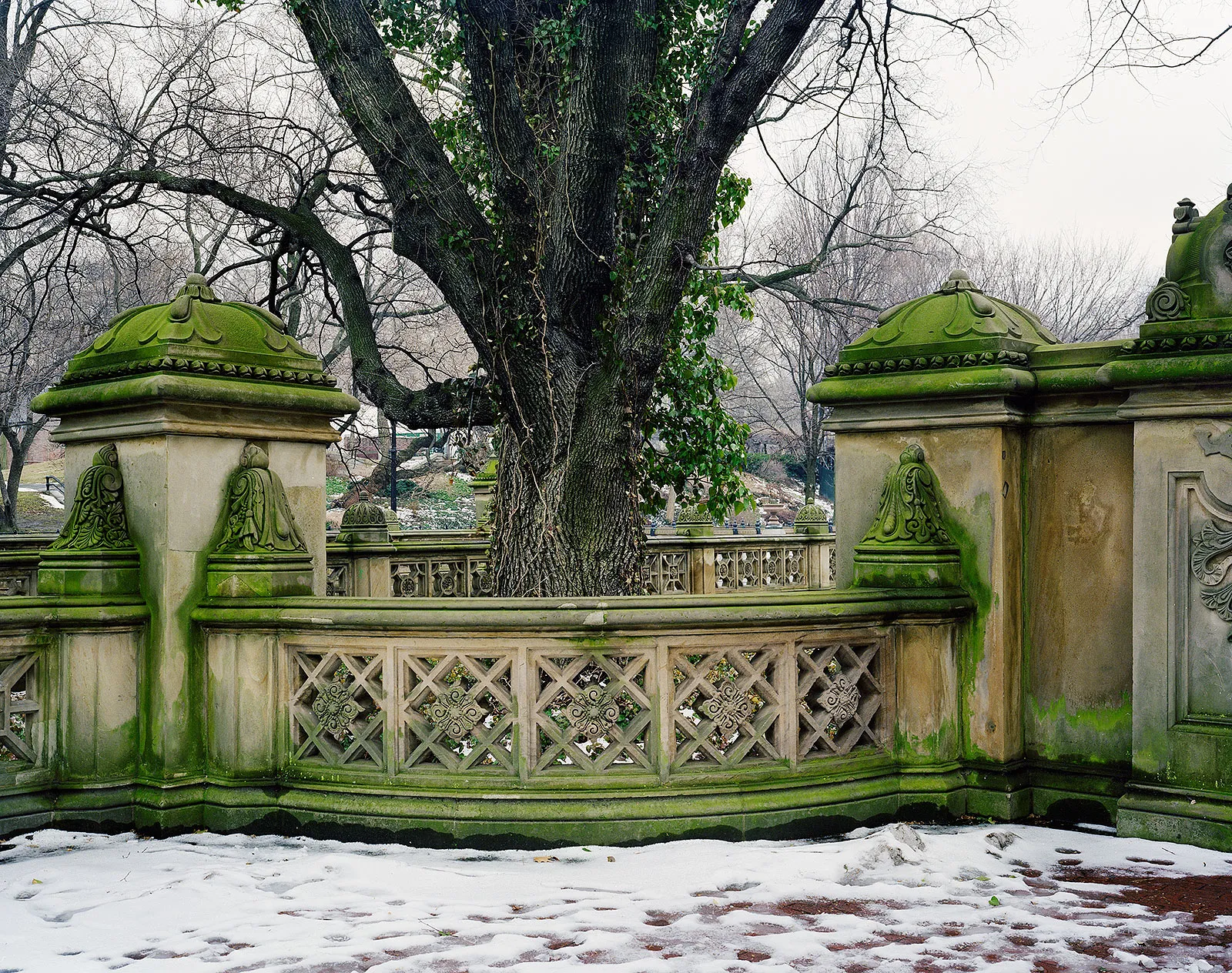 Cental Park, New York, New York, 2003 Archival Pigment Print, 20x24" Edition of Three